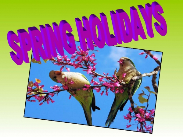 Presentation Spring_1