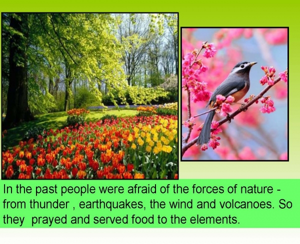 Presentation Spring_2