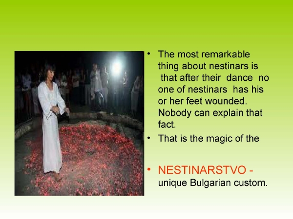 Presentation Spring_31
